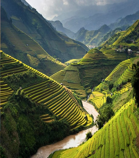 Viet Nam